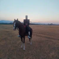 نریان عرب ایرانی