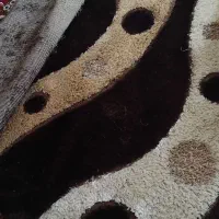 فرش فانتزی نو|فرش|نیشابور, شهرک پردیس|دیوار