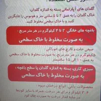 خاک مغذی|گل و گیاه طبیعی|آبادان, |دیوار