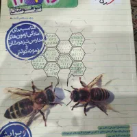 کتاب تست علوم نهم خیلی سبز 1403
