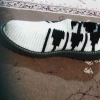 چـوقه بخـتیاری|کیف، کفش، کمربند|یاسوج, |دیوار