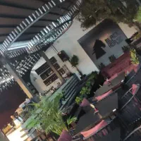 بارتندر و سالندار