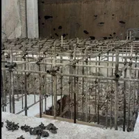 داربست بندی|خدمات پیشه و مهارت|سمنان, |دیوار