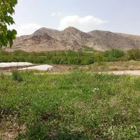 سرکارگر هستم تمامی کار های کشاورزی