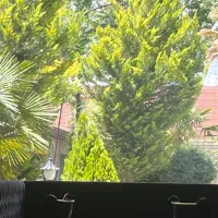 نگهبان پارک بان