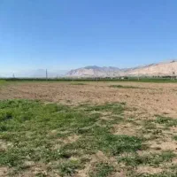 زمین-جانبازان