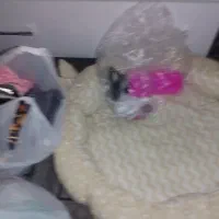 سگ خونگی|سگ|اسلام‌شهر, شهرک قائمیه|دیوار