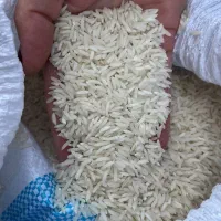 برنج هاشمی ممتاز آستانه|خوردنی و آشامیدنی|تهران, ترمینال غرب|دیوار