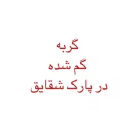 گربه پیدا شده در اطراف پارک شقایق