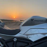 بنلی ریس جفت ۳۰۰ نقد و اقساط . ریس . سنگین