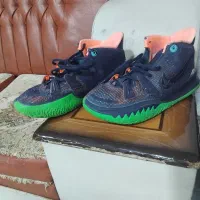 کتانی|کیف، کفش، کمربند|اسفراین, |دیوار