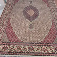 فرش|فرش|سهند, |دیوار