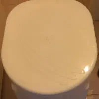 توالت فرنگی