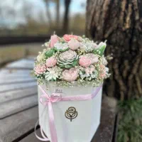 گل جاودان وزیبا