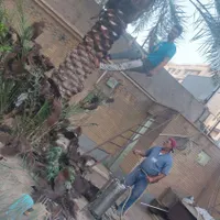بریدن نخل قطع درخت هرس نخل سمپاشی نخل باغبانی|خدمات باغبانی و درختکاری|اهواز, شهرک نفت|دیوار