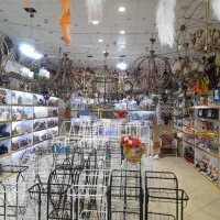 تک شاخ کودک فضانورد چراغدار فوتبال مومیایی ورزشکار|اسباب‌‌بازی|قم, سراجه (۱۵ خرداد)|دیوار