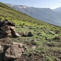 شیر ماست پنیر گوسفندی ارگانیک از رشته کوه البرز
