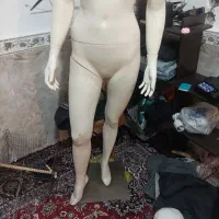 مانکن کامل