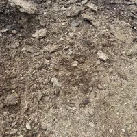 کود اسب بسیار مفید برای گیاهان و به صرفه