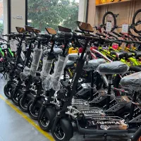 واردکننده موتور برقی و اسکوتر برقی|دوچرخه، اسکیت، اسکوتر|گرگان, |دیوار