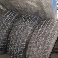 لاستیک پاترول