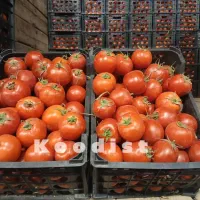 افزاایش تناژ بیشتر و اصلاح خاک با کود ارگانیک