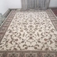 فرش فرهی 12متری نو|فرش|تربت‌حیدریه, بالا ولایت|دیوار