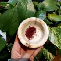 زعفران|خوردنی و آشامیدنی|تهران, دانشگاه شریف|دیوار