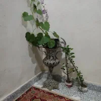 گلدان نقره ای در حد نو