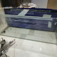آکواریم