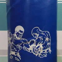 کیسه بوکس حرفه ای