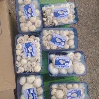 حراج شد|خوردنی و آشامیدنی|مشهد, کارگران|دیوار