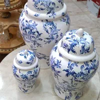 جینجر در طرح های متنوع