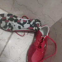 کفش سالنی جوما|تجهیزات ورزشی|خوی, |دیوار