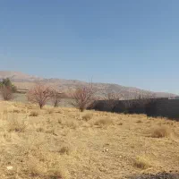 فروش-باغشهرگلستانه-دالین-سپیدان