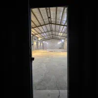 سوله  ۱۲۵۰ متر درخت سبز|اجارهٔ دفتر صنعتی، کشاورزی، تجاری|کیش, |دیوار