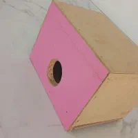 لانه عروس هلندی