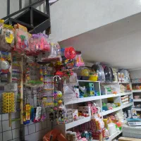 طوطی عروس هلندی ملنگو گرینچیک خورشیدی فنچ مهرگان