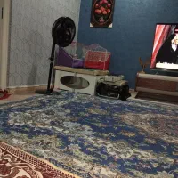 قناری محلی نر