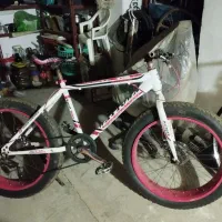 دورچرخه ساحلی