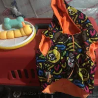 باکس ولباس واسباب بازی سگ آپارتمان|لوازم جانبی حیوانات|ورامین, ورامین|دیوار