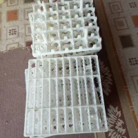 شانه دستگاه جوجه کشی