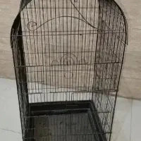 قفس بزرگ ۱۰۳۳