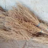 تعدادیجاروی محلی