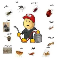 سم پاشی ساس.سوسک سمپاشی تضمینی100%(دانـیـال قــم)