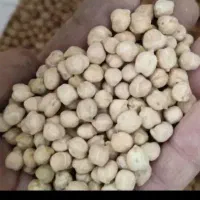 نخود فروش فوری