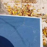 میز پینگ پونگ تا شو|ورزشهای توپی|کوهسار (البرز), |دیوار