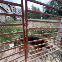 فروش زمین/ شهرکی/ خیابان آرا/ متل قو|فروش زمین و ملک کلنگی|سلمانشهر, |دیوار