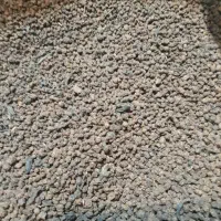 چای کله مورچه درجه یک هندی|خوردنی و آشامیدنی|اصفهان, جلفا|دیوار