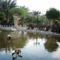 آشپز، تخته کار، خدمات